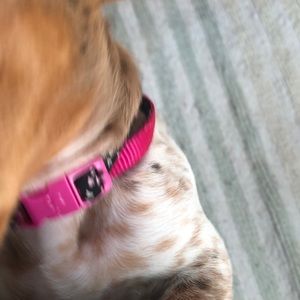 Meet your Posher, Anne marie